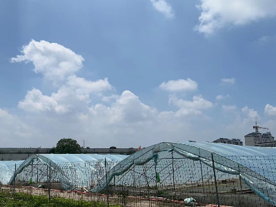 恩拓博高速增氧機上海使用案例！